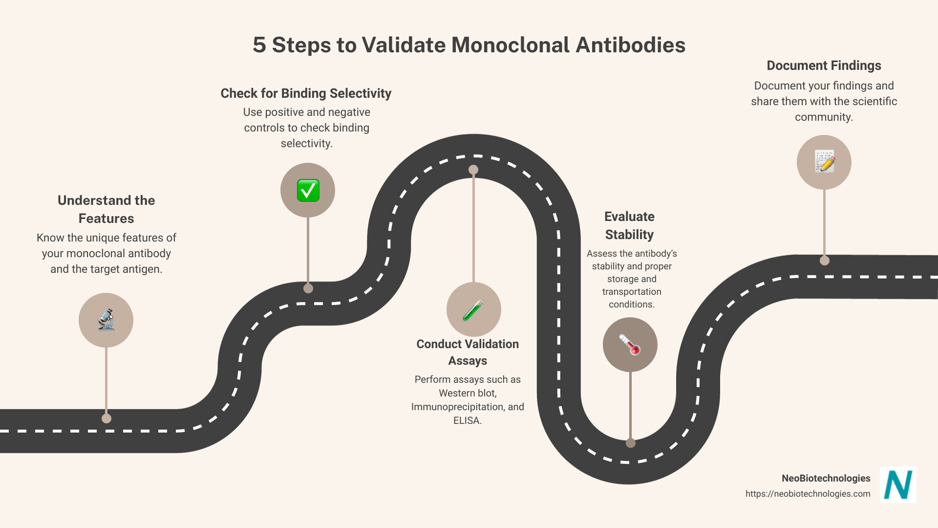 Easy Steps for Monoclonal Antibody Validation - how to validate monoclonal antibodies infographic roadmap-5-steps