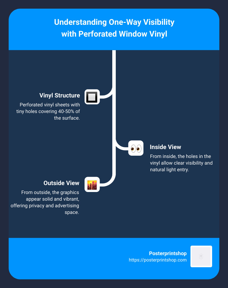 Infographic describing the structure of perforated window vinyl, showing the ratio of vinyl to holes and demonstrating how one-way visibility is achieved - perforated window vinyl infographic infographic-line-3-steps