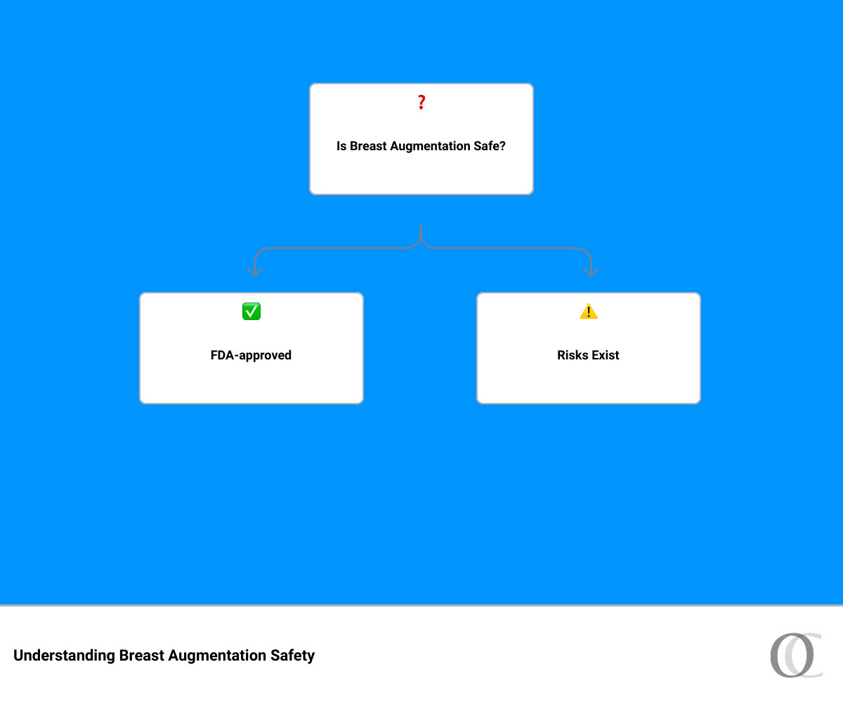 Breast Augmentation Safety - is breast augmentation safe infographic hierarchy
