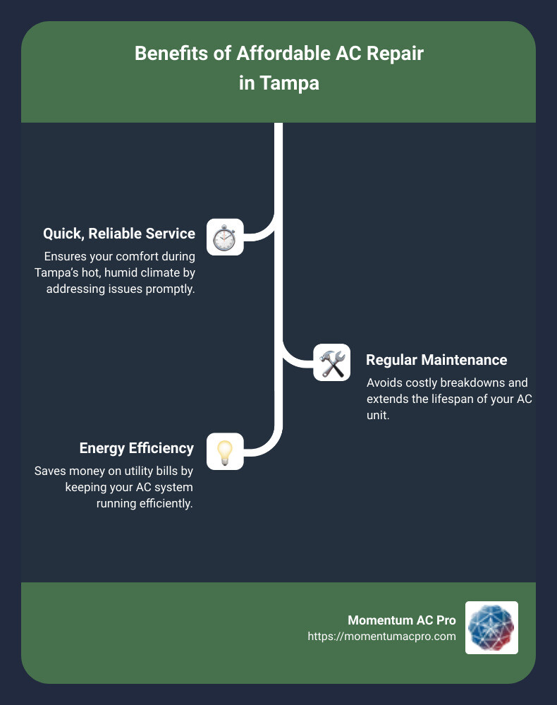 Keeping your AC efficient - affordable ac repair tampa infographic infographic-line-3-steps