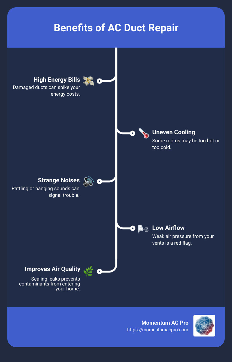 Benefits of AC Duct Repair - ac duct repair tampa florida infographic infographic-line-5-steps