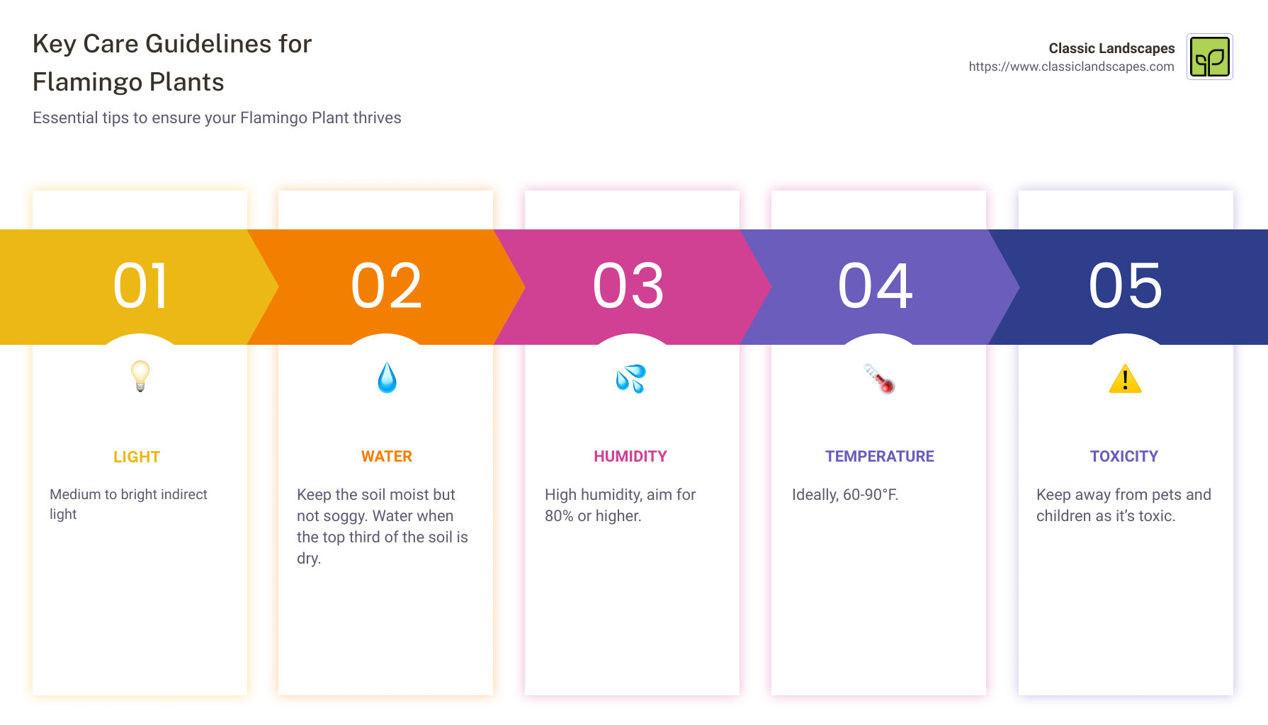 An infographic detailing the key care guidelines for Flamingo Plants: Light, Water, Humidity, Temperature, and Toxicity. - how to care for a flamingo plant infographic pillar-5-steps