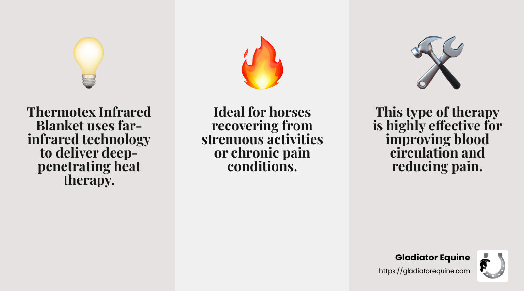 Equine Therapy Products Top 5 Essential Picks for 2024