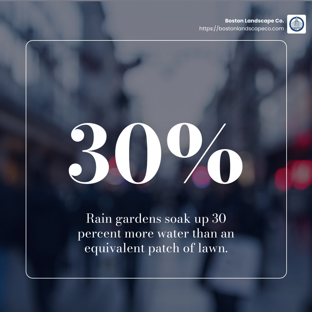 Rain gardens soak up 30 percent more water than an equivalent patch of lawn. - what is a rain garden infographic simple-stat-blurry-bg