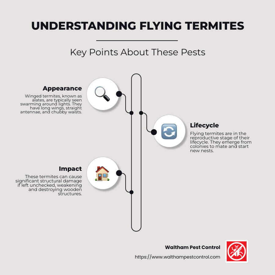 Flying termite identification infographic - can termites fly infographic infographic-line-3-steps-neat_beige