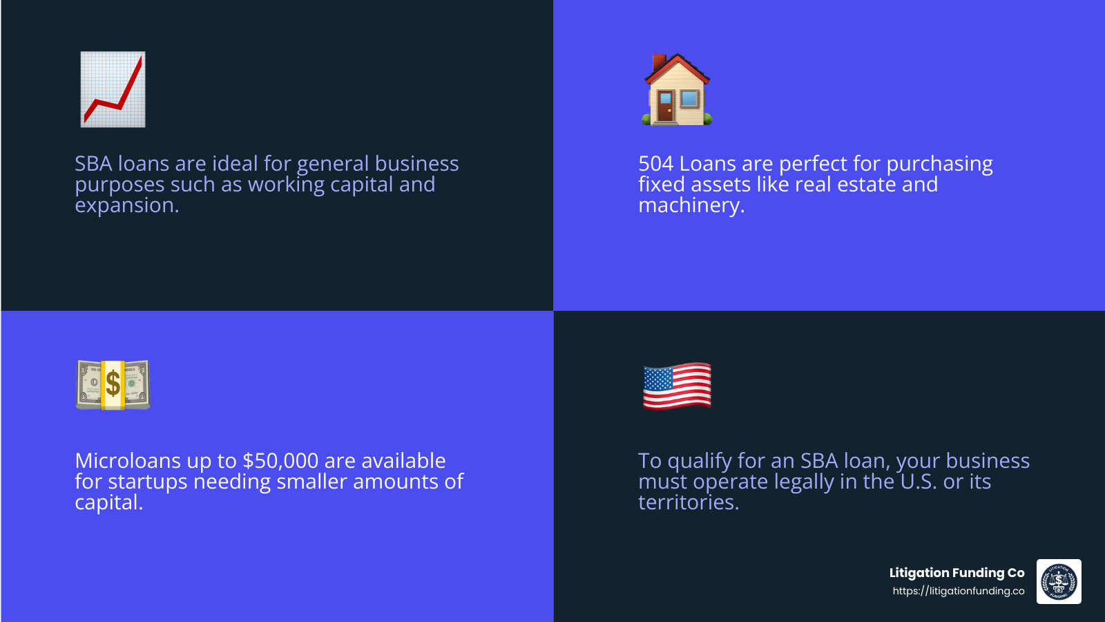 Eligibility criteria infographic - sba loan no credit check infographic 4_facts_emoji_blue