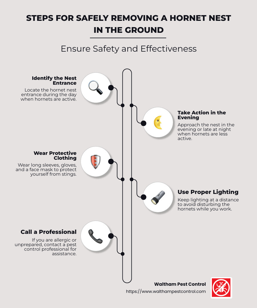 Ground Hornet Nest Removal Steps - hornet nest in the ground removal infographic infographic-line-5-steps-neat_beige