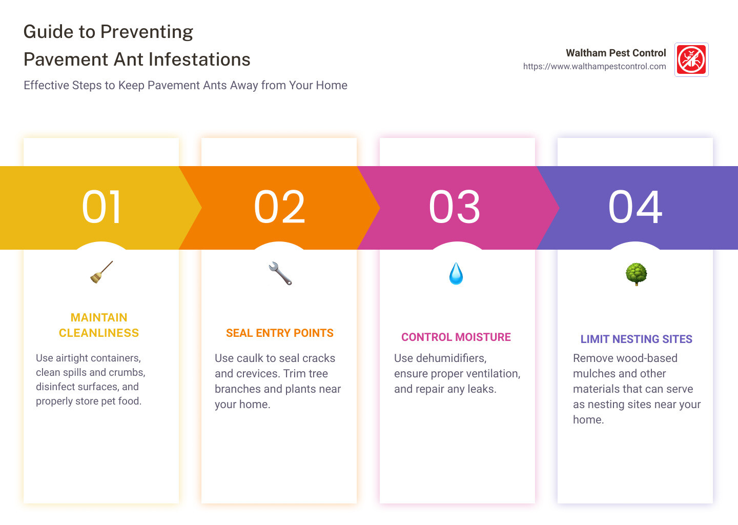 Guide to preventing pavement ant infestations, including cleaning tips, sealing measures, and moisture management. - pavement ant infestation infographic pillar-4-steps