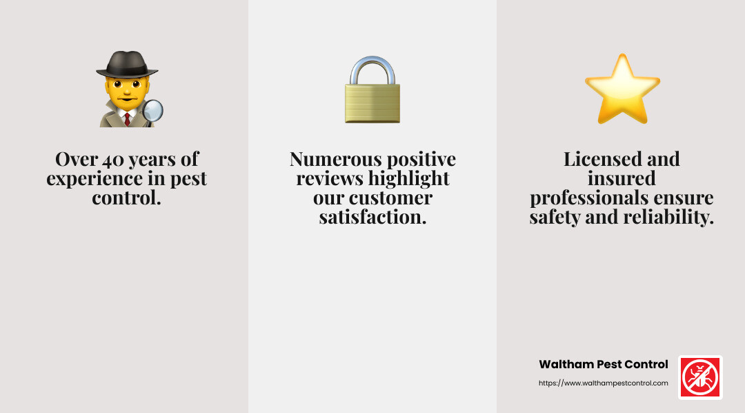 Waltham Pest Control - Quality Service - ant exterminators near me infographic 3<em>facts</em>emoji_grey Waltham Pest Control - Quality Service - ant exterminators near me infographic 3<em>facts</em>emoji_grey