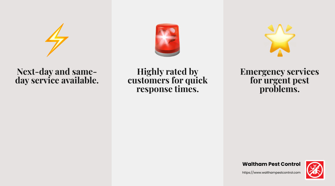 Waltham Pest Control - Fast Service and Emergency Response - best pest control company infographic 3<em>facts</em>emoji_grey