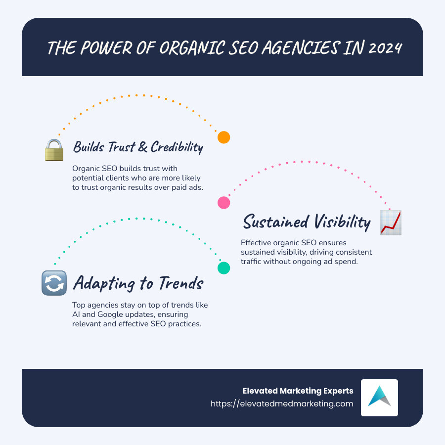 Summary of Organic SEO Agency Strategies for 2024 - organic seo agency infographic infographic-line-3-steps-blues-accent_colors Summary of Organic SEO Agency Strategies for 2024 - organic seo agency infographic infographic-line-3-steps-blues-accent_colors