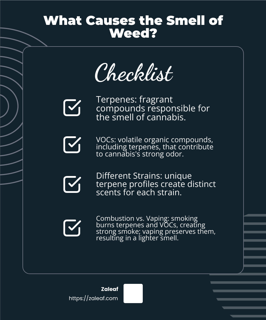 Combustion vs. Vaping - do thc vape pens smell infographic checklist-dark-blue