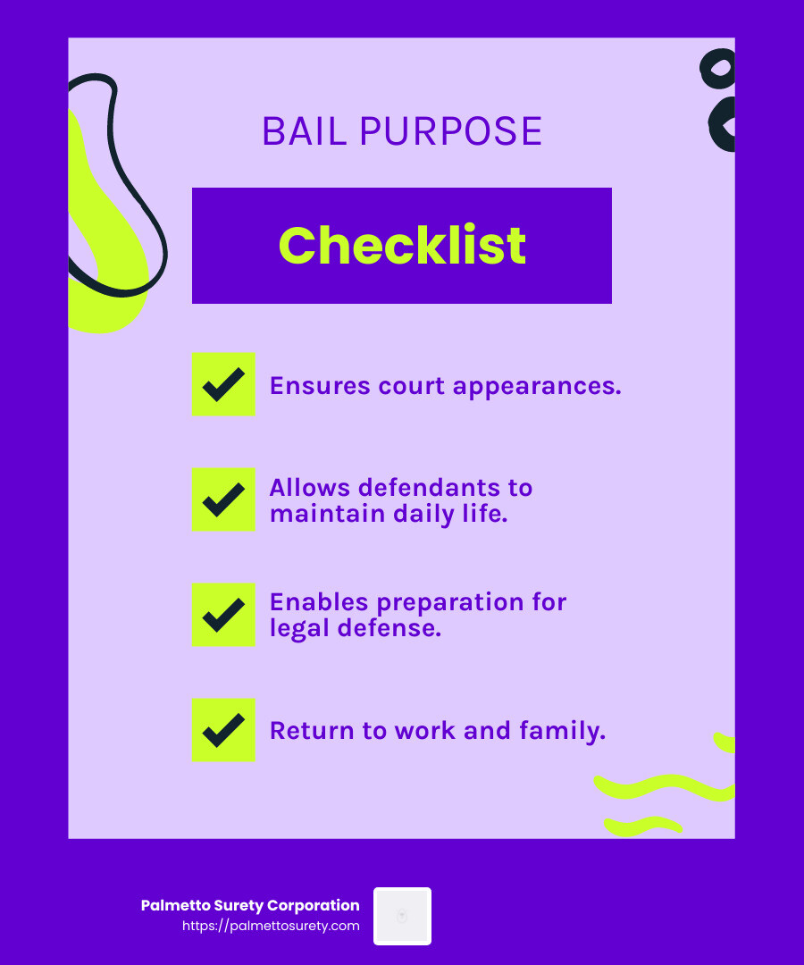 Bail bonds 101: how they work and why you might need one 2 Purpose of bail - how do bail bonds work infographic checklist-fun-neon