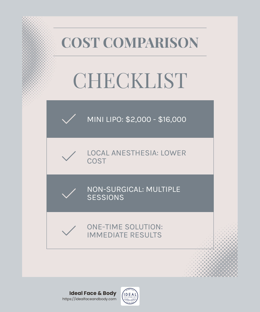 Cost-Effectiveness of Mini Lipo vs. Non-Surgical Alternatives - mini lipo infographic checklist-light-blue-grey