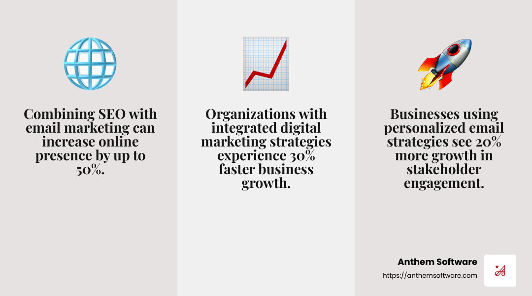 Anthem Software's expertise in digital marketing and B2B email marketing - SEO consulting services infographic 3_facts_emoji_grey