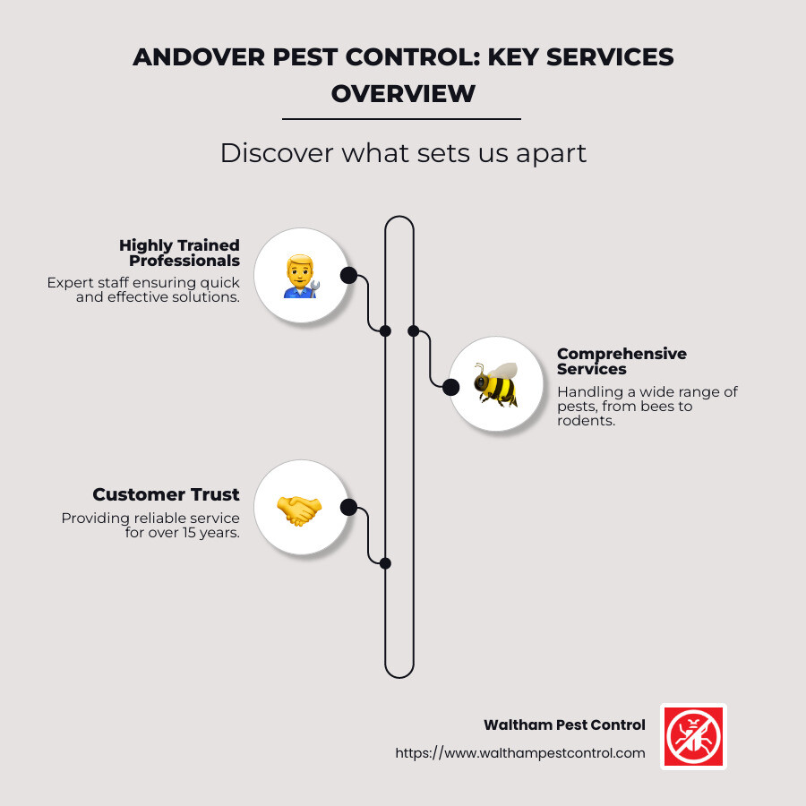 Pest control services overview infographic - Andover pest control reviews infographic infographic-line-3-steps-neat_beige