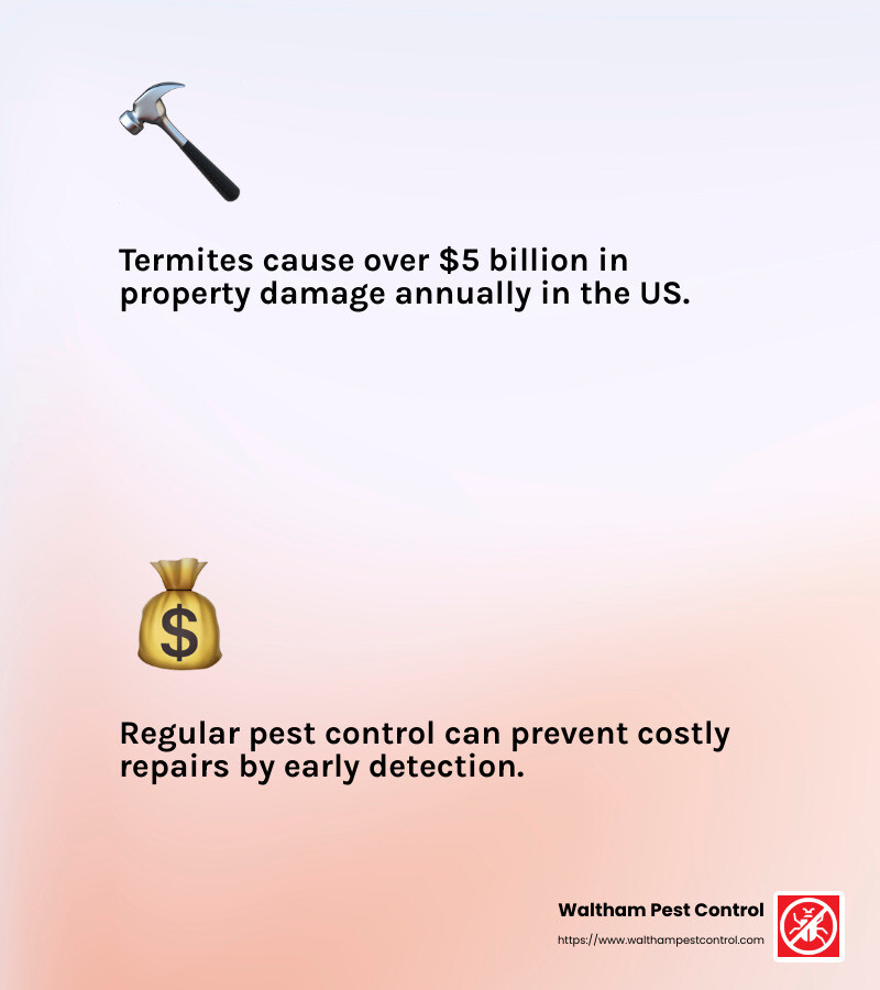 Termites cause billions in damage annually - Andover pest control reviews infographic 2_facts_emoji_light-gradient