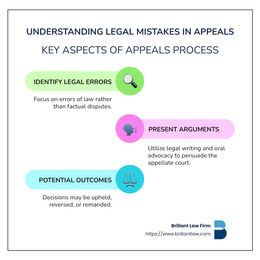 Infographic on Common Legal Mistakes in Appeals - Appeals court attorney infographic infographic-line-3-steps-colors