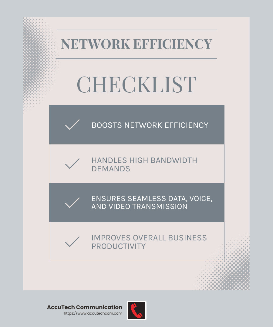 Network Efficiency Infographic - structured cable contractors infographic checklist-light-blue-grey
