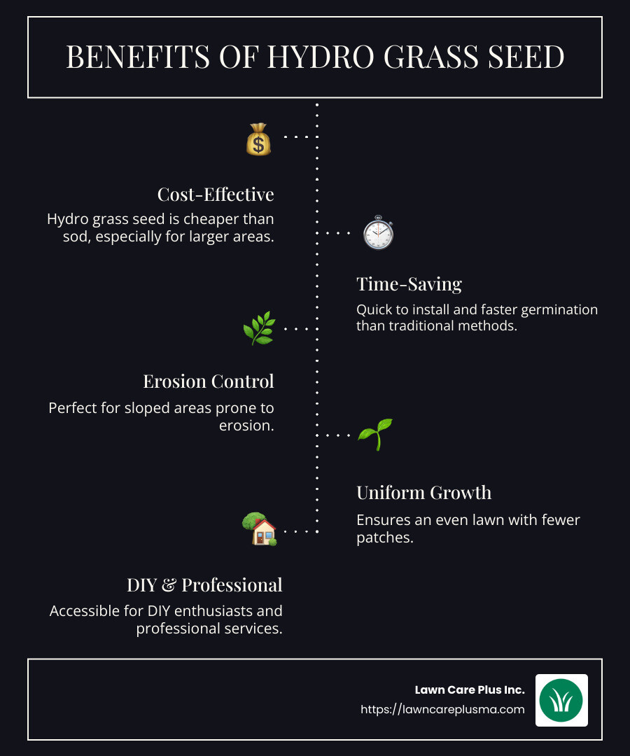 Hydro Grass Seed: Top 5 Amazing Benefits in 2024