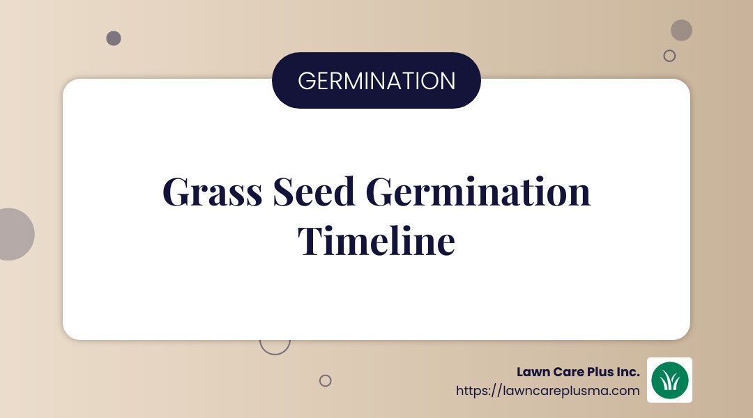 Germination timelines for different grass types - hydro grass seed infographic simple-info-landscape-card