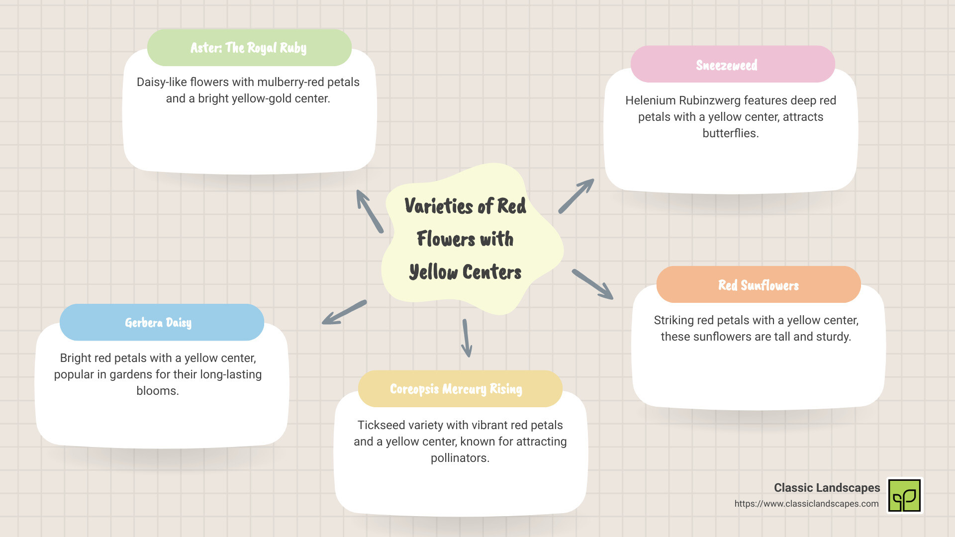 infographic of red flowers with yellow center varieties and benefits - red flower with yellow center infographic mindmap-5-items