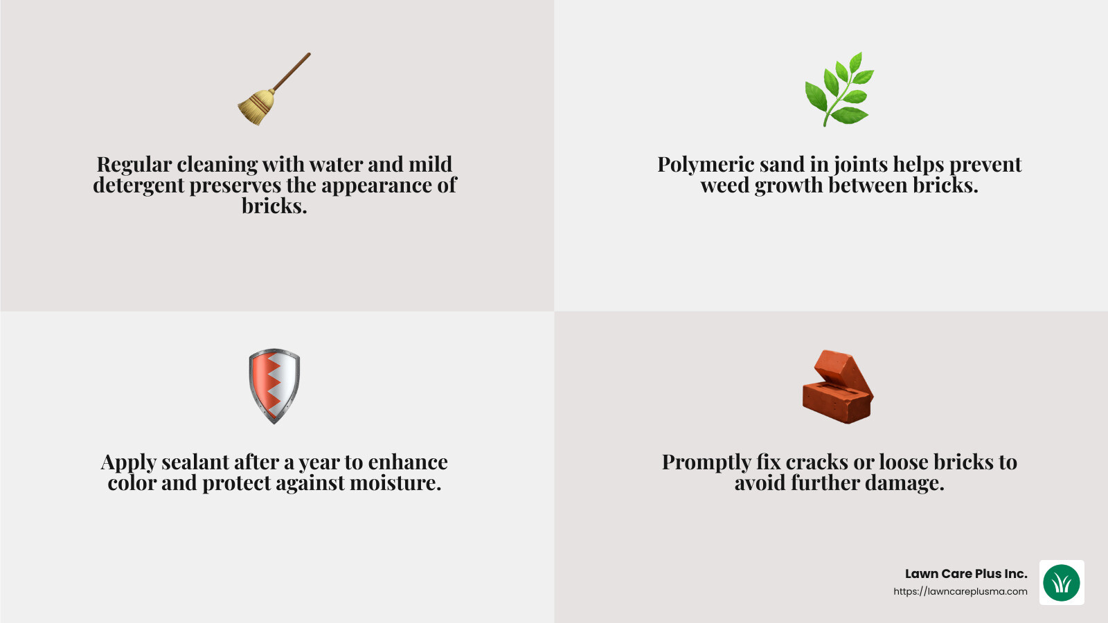 Efflorescence removal tips - brick walkway installers near me infographic 4_facts_emoji_grey