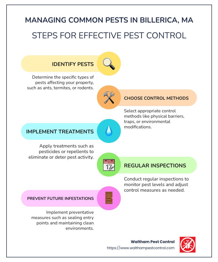 Termite Treatment Wesley Chapel