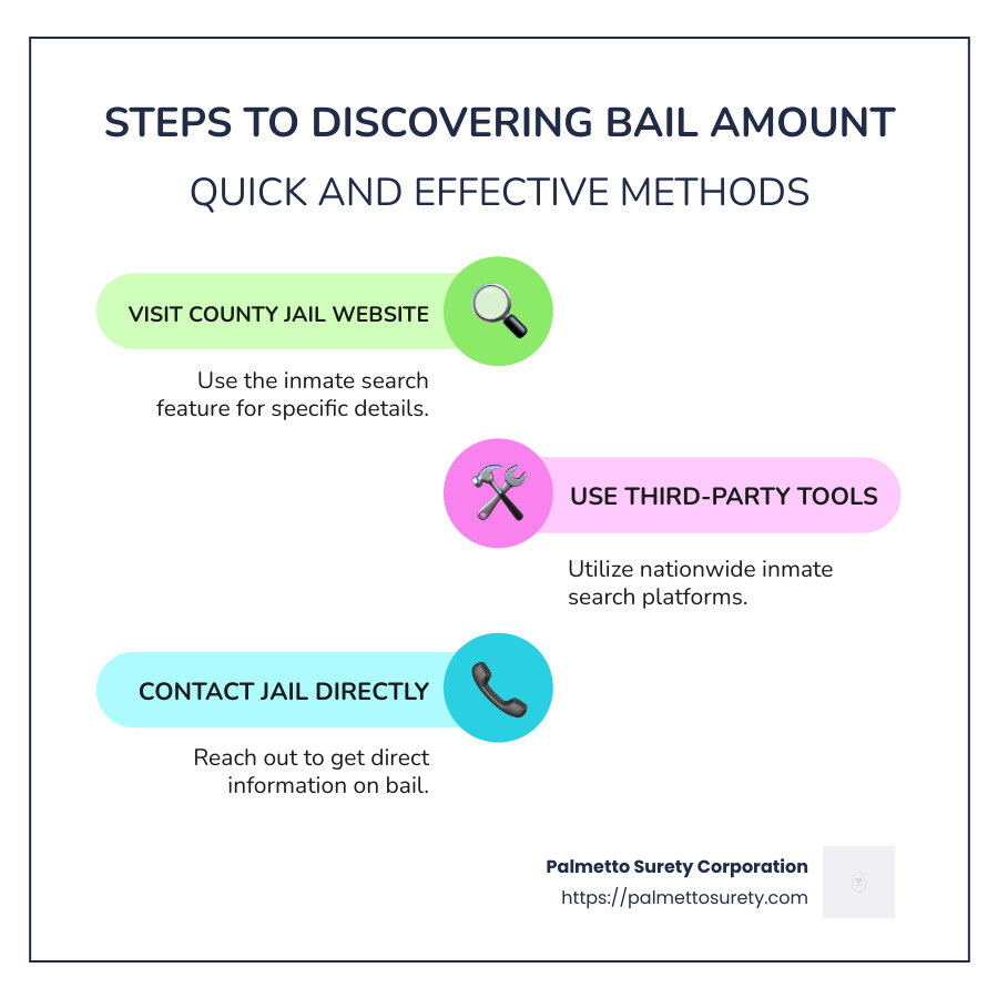Unlocking the mystery: how to find out how much someone's bond is online 1 Steps to finding bail amount - how to find out how much someone's bond is infographic infographic-line-3-steps-colors