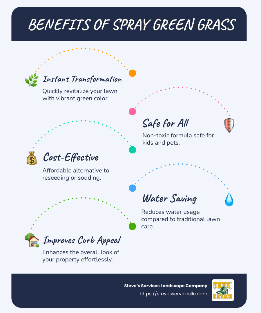 Benefits of Spray Green Grass - spray green grass infographic infographic-line-5-steps-blues-accent_colors