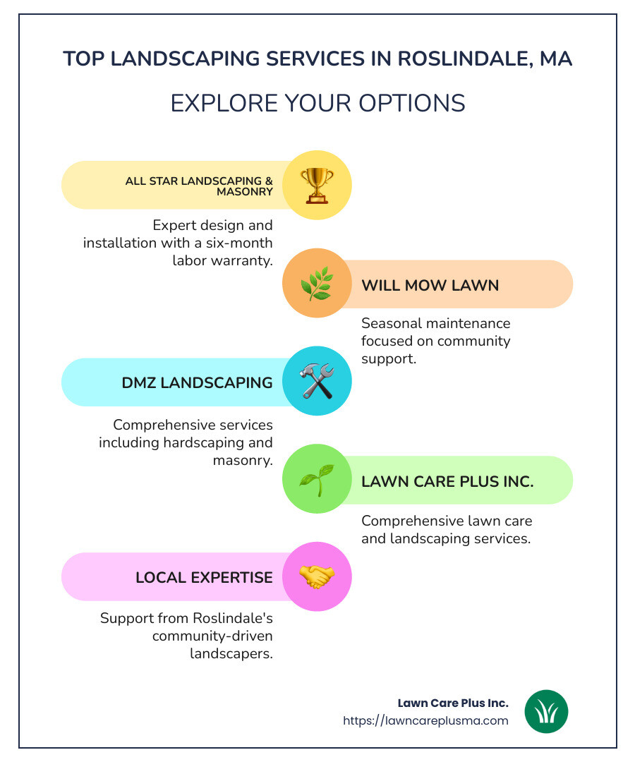 Comparative chart of top 7 landscapers in Roslindale with services and ratings - Landscaping near Roslindale MA infographic infographic-line-5-steps-colors