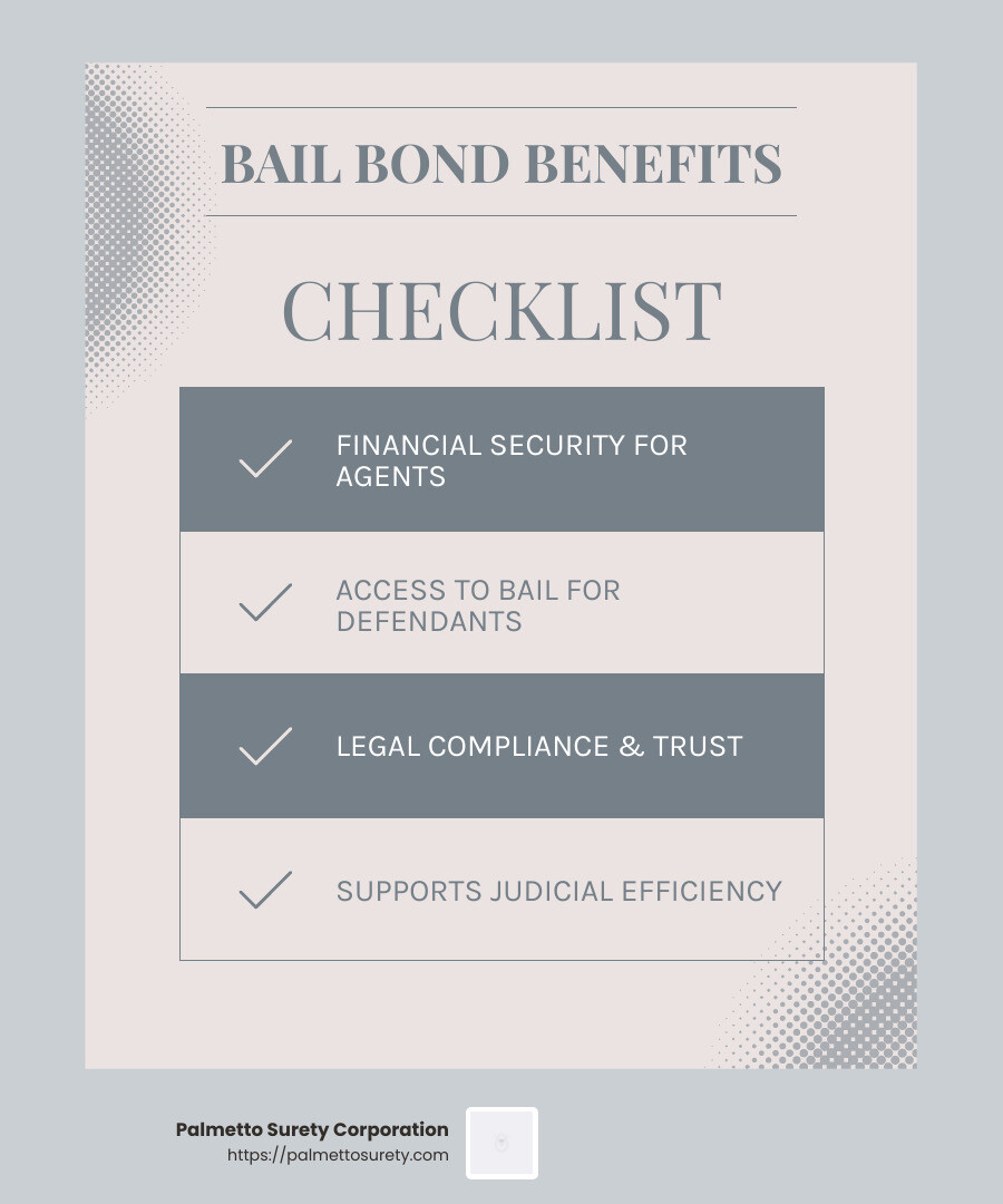 Judicial efficiency - insurance companies that underwrite bail bonds infographic checklist-light-blue-grey Judicial efficiency - insurance companies that underwrite bail bonds infographic checklist-light-blue-grey