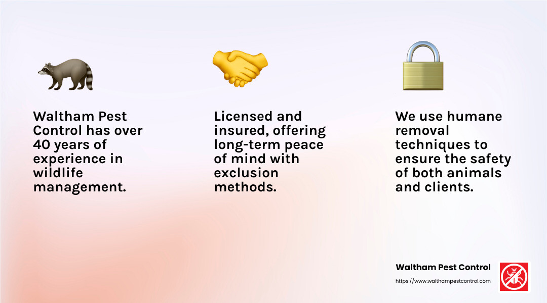 Waltham Pest Control Commitment - Wildlife control services infographic 3_facts_emoji_light-gradient
