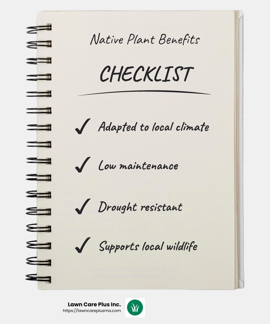 Native plants are a cost-effective choice for landscaping - affordable landscaping norwood ma infographic checklist-notebook