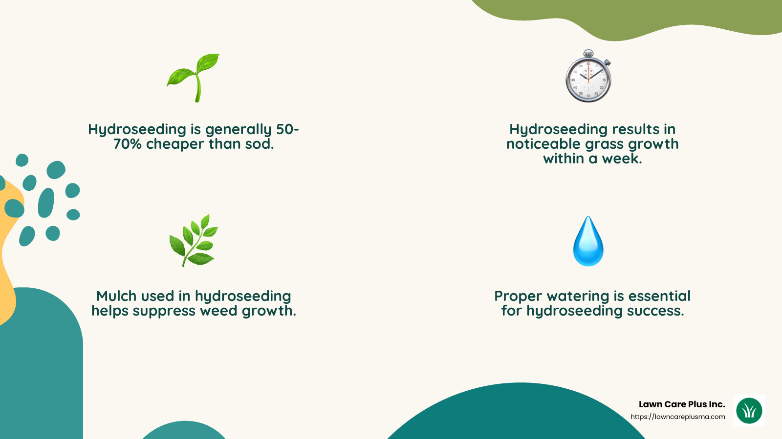 Hydroseeding is less expensive than sod and more expensive than regular grass seed, making it a cost-effective choice for many homeowners. - hydro grass seeding near me infographic 4_facts_emoji_nature