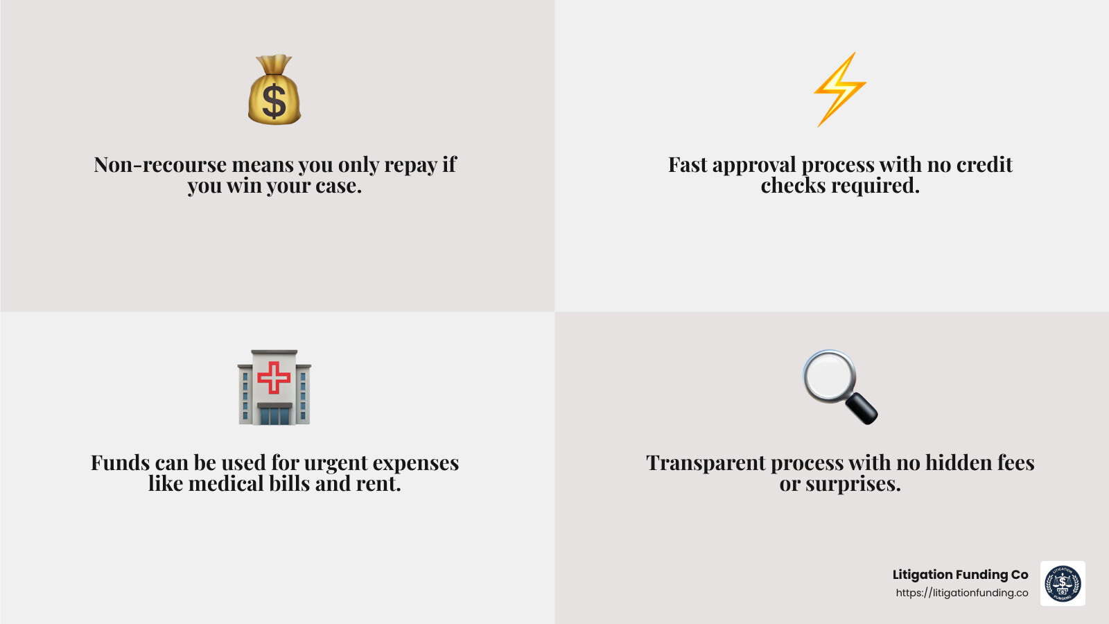 Immediate Financial Relief - Cash advance for lawsuits infographic 4_facts_emoji_grey