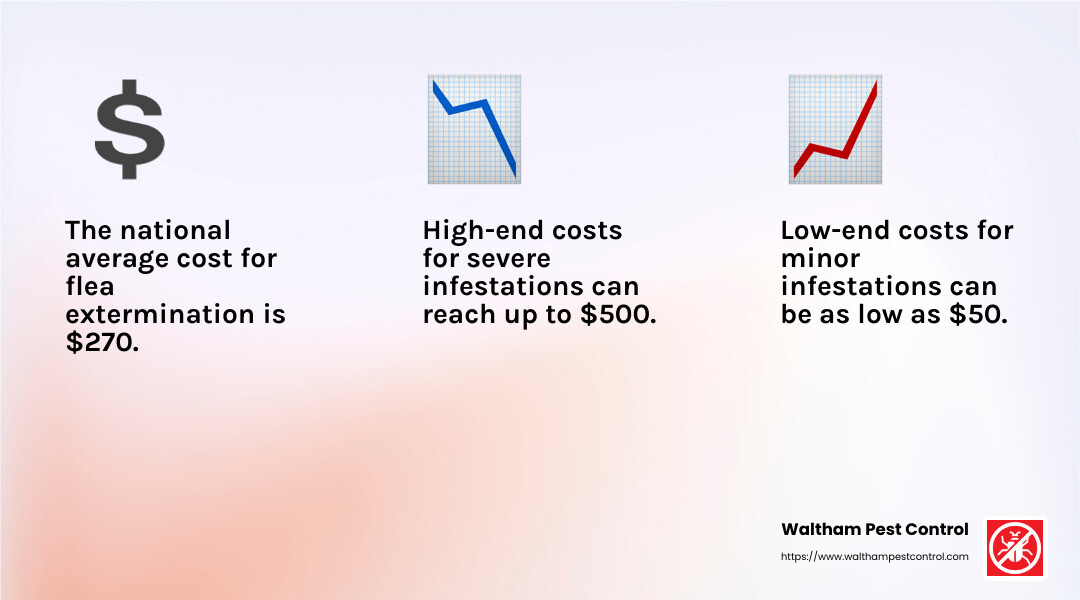 Average flea extermination costs infographic - how expensive are flea exterminators near me infographic 3_facts_emoji_light-gradient
