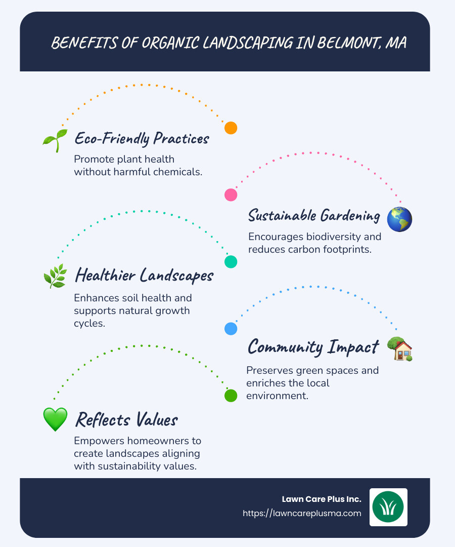 Belmont's Organic Landscaping Benefits Overview - organic landscaping belmont ma infographic infographic-line-5-steps-blues-accent_colors