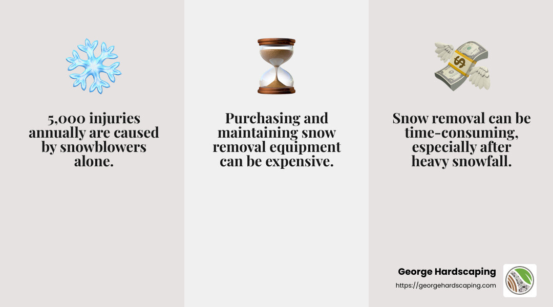 Snowblower injuries infographic - residential snow removal infographic 3_facts_emoji_grey