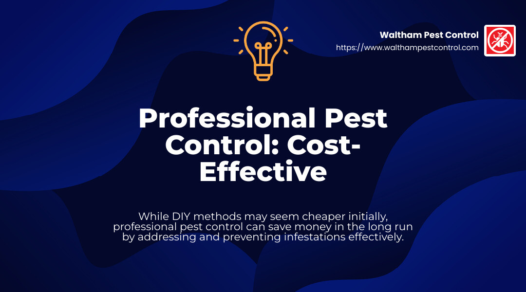 Professional pest control services are usually less costly than DIY pest control products and projects in all but the most limited invasions. - Commercial pest control Chelmsford infographic simple-stat-landscape-lightbulb