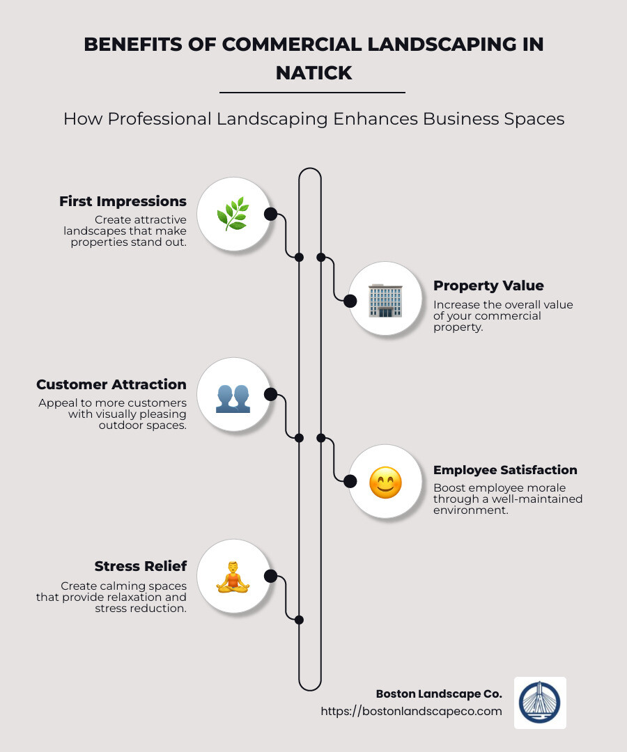 Overview of Benefits of Professional Landscaping - commercial landscaping natick infographic infographic-line-5-steps-neat_beige