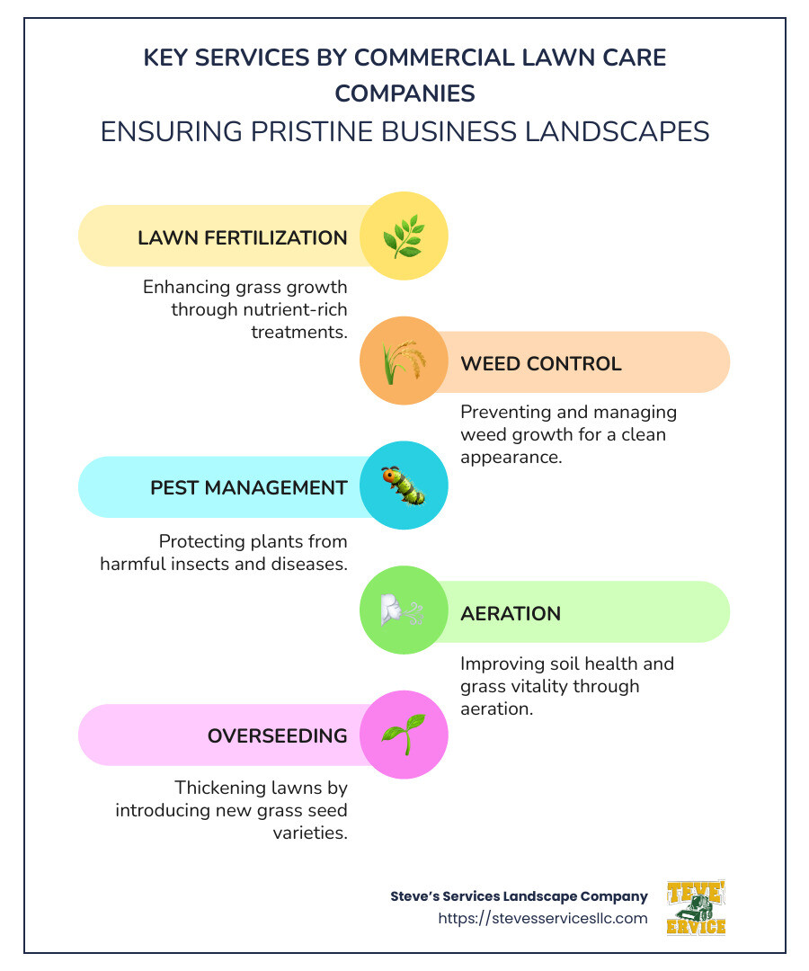 Summary of Commercial Lawn Care Services Offered - commercial lawn care companies infographic infographic-line-5-steps-colors