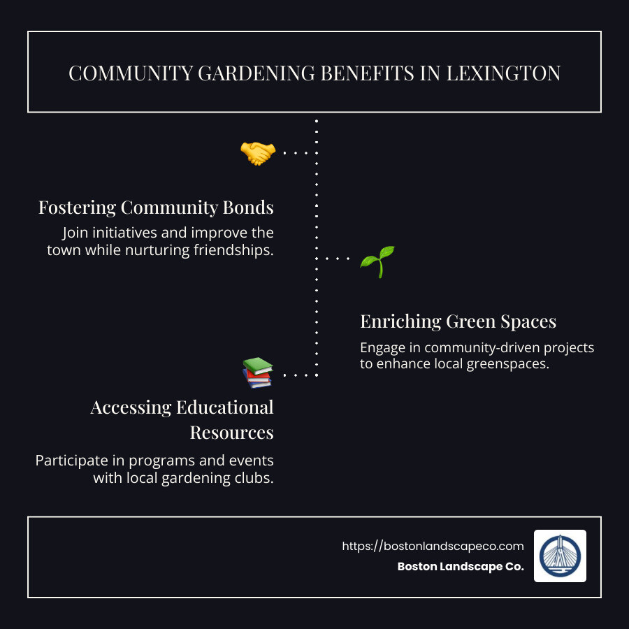 Overview of community gardening benefits in Lexington - lexington gardening infographic infographic-line-3-steps-dark