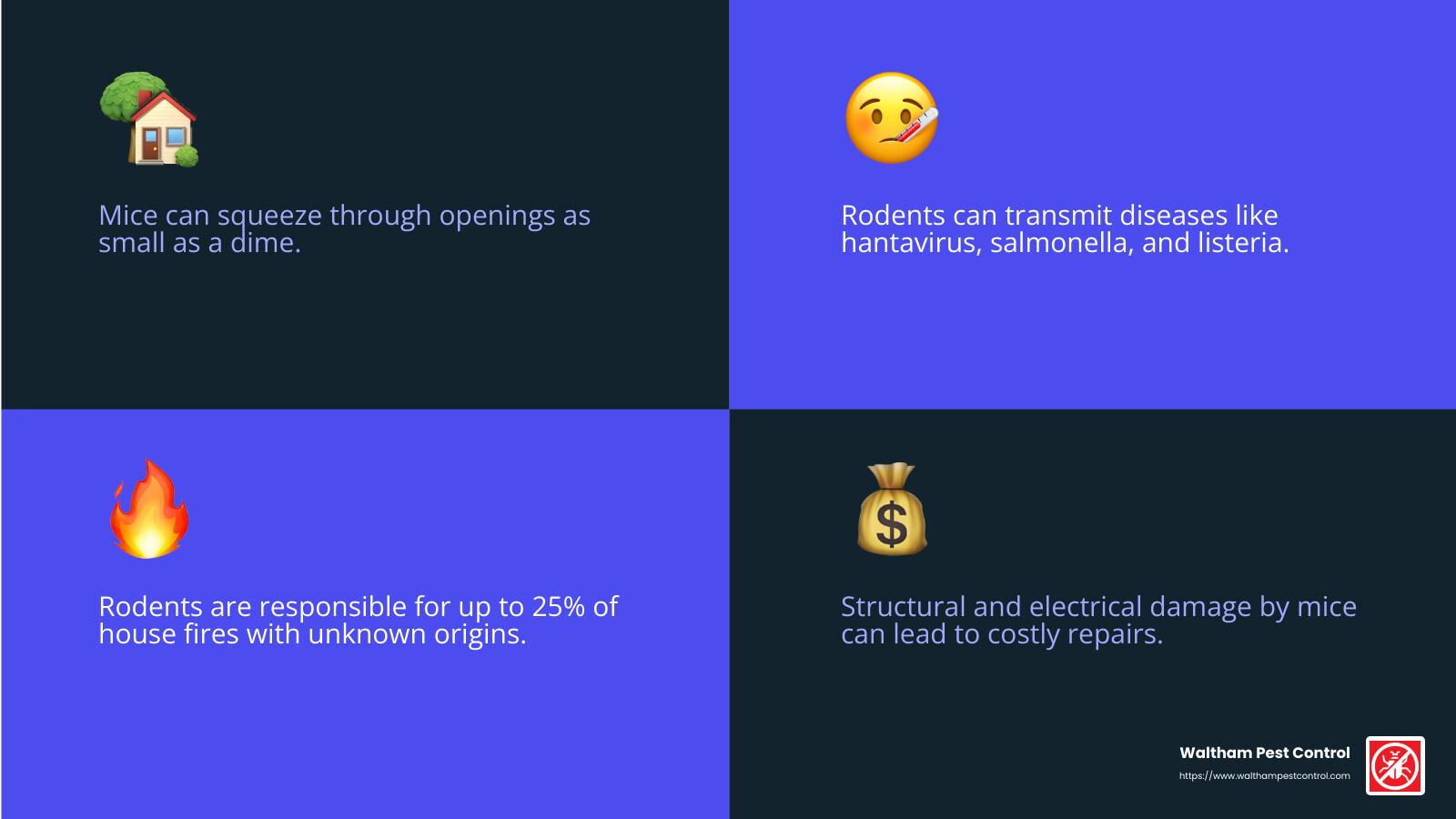 Mice can carry and transmit over 30 diseases to humans - mouse proofing services near me infographic 4_facts_emoji_blue