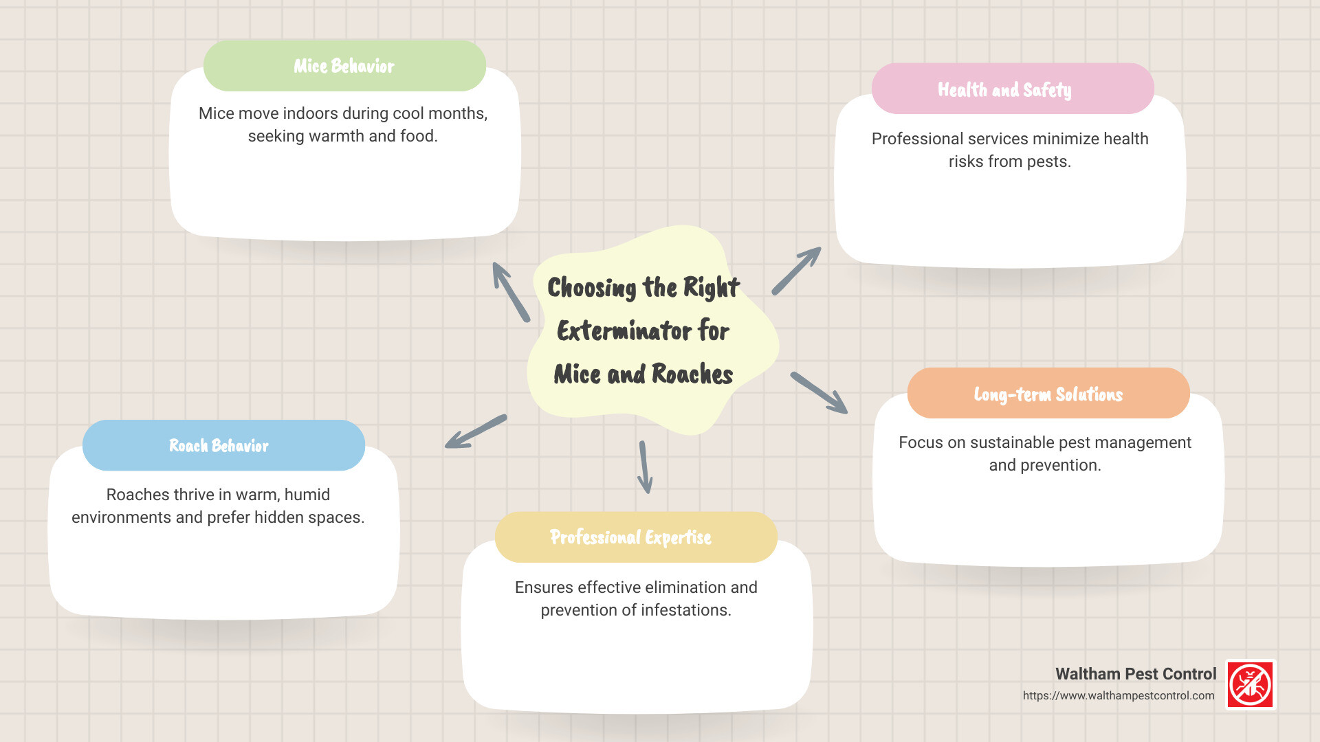 Exterminator Solutions for Mice and Roaches Overview - exterminator for mice and roaches infographic mindmap-5-items