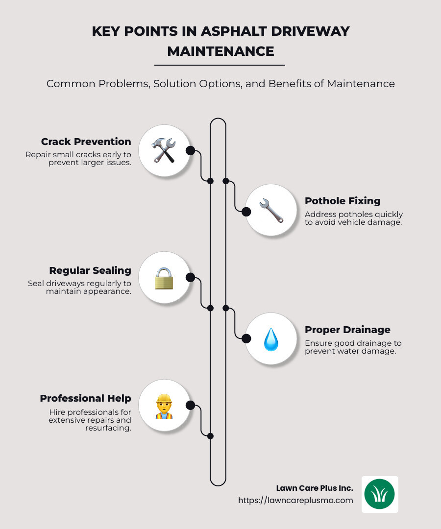 Infographic showing 'Key Points in Asphalt Driveway Maintenance' with sections for 'Common Problems', 'Solution Options', and 'Benefits of Maintenance', visually represented with icons - asphalt driveway repair infographic infographic-line-5-steps-neat_beige