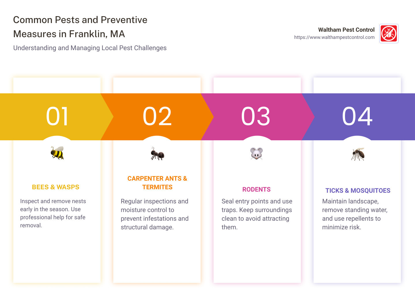 Infographic: Common Pests and Preventive Measures in Franklin, MA - pest control franklin ma infographic pillar-4-steps
