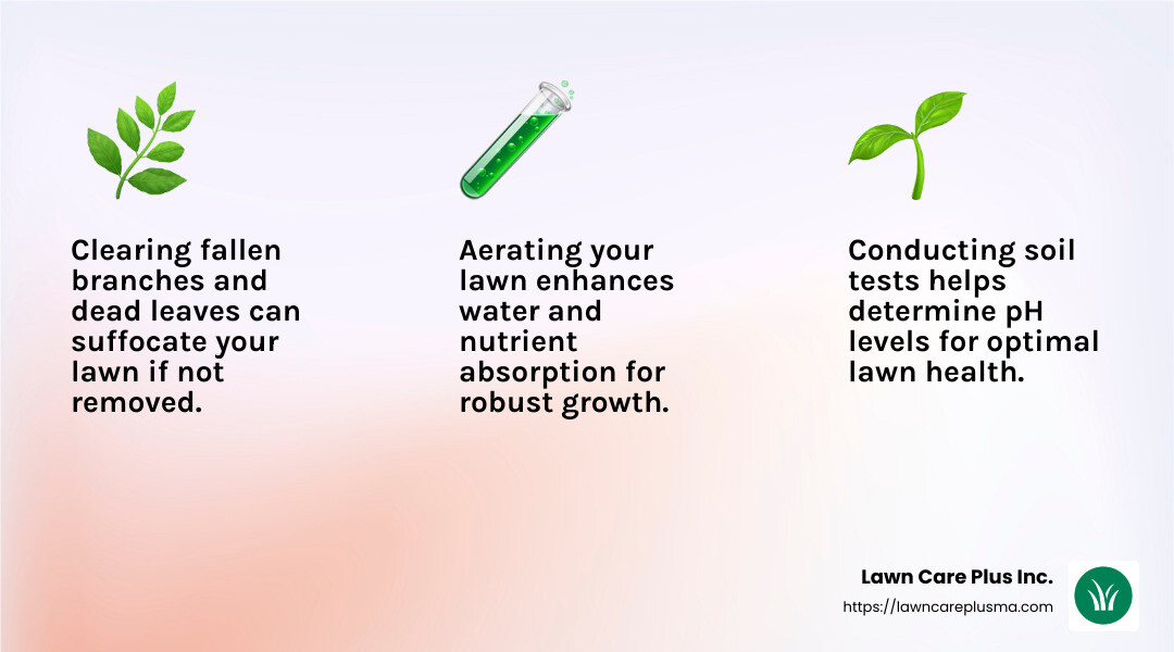 Damage assessment and debris clearing tips - need someone to clean up my backyard infographic 3_facts_emoji_light-gradient