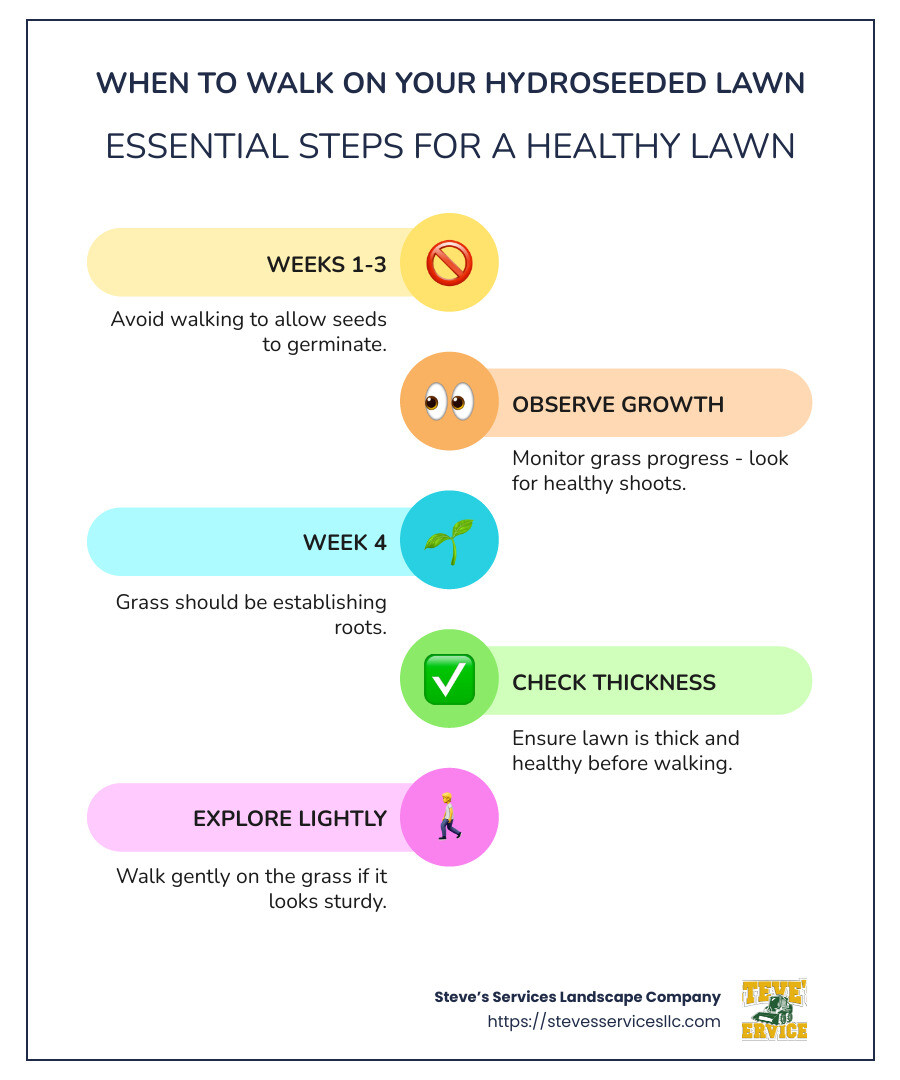 Infographic detailing when to walk on a hydroseeded lawn: Germination period, first safe walking time, signs of healthy grass - when can i walk on hydroseeded lawn infographic infographic-line-5-steps-colors