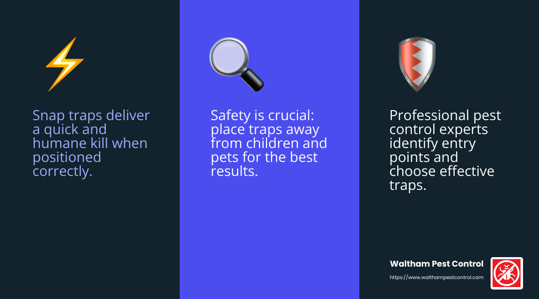 Snap Trap Effectiveness - fastest way to kill rats infographic 3_facts_emoji_blue